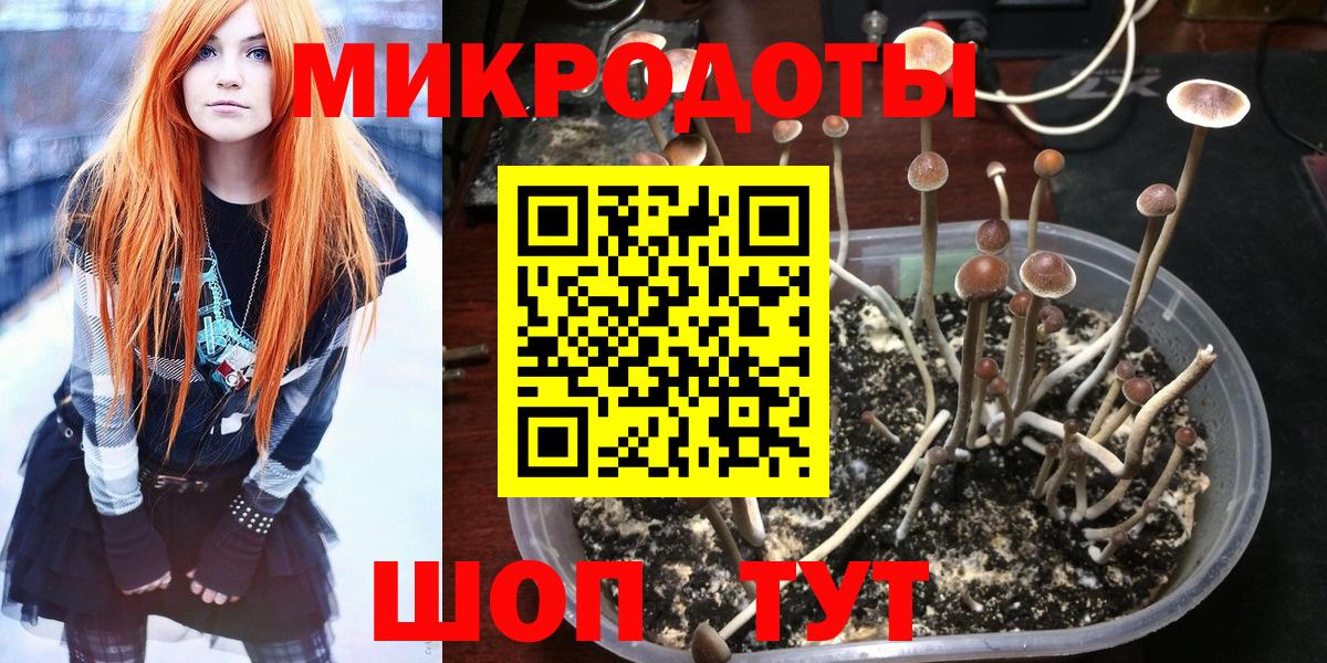 Богородицк  Псилоцибиновые грибы мухоморы  Вход с VPN 